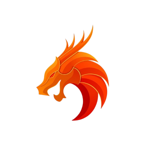 DragonSetups - Logo